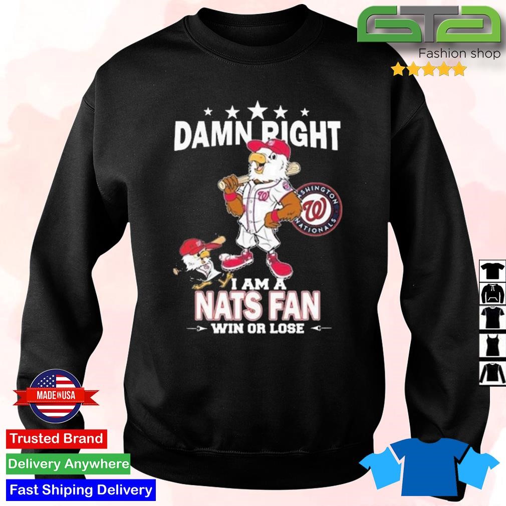 Washington Nationals nats pride logo T-shirt, hoodie, sweater, long sleeve  and tank top